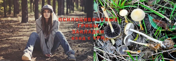 бутират Горно-Алтайск