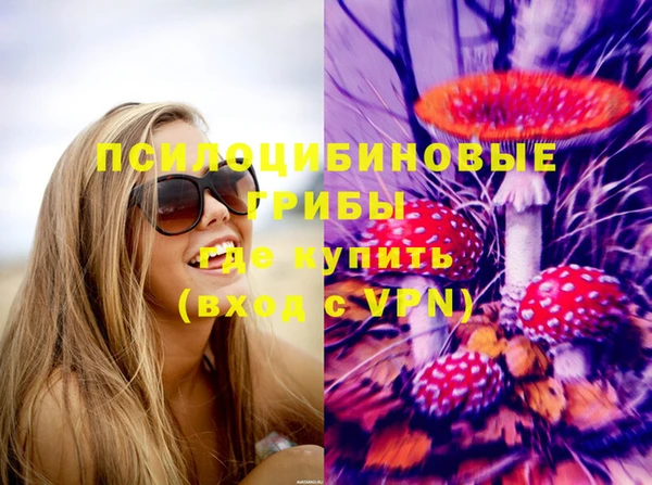 дживик Горнозаводск