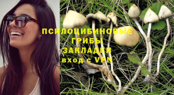 бутират Горно-Алтайск
