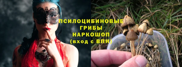 дживик Горнозаводск